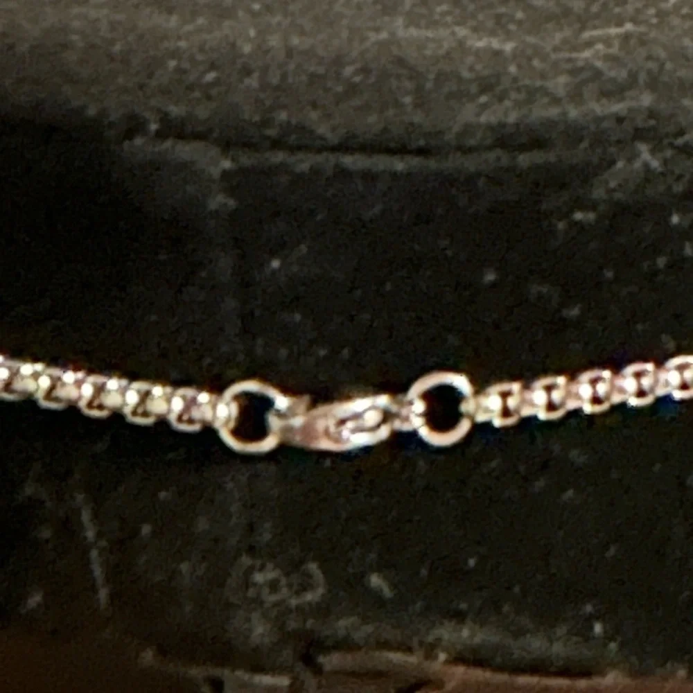 Stainless steel necklace with box chain. 22 inch chain. Quarter for size ref